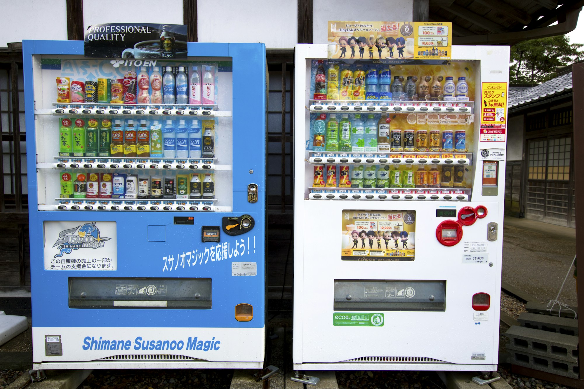 Matsue: Exploring Local Culture & Traditions