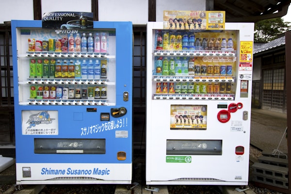 Matsue: Exploring Local Culture & Traditions