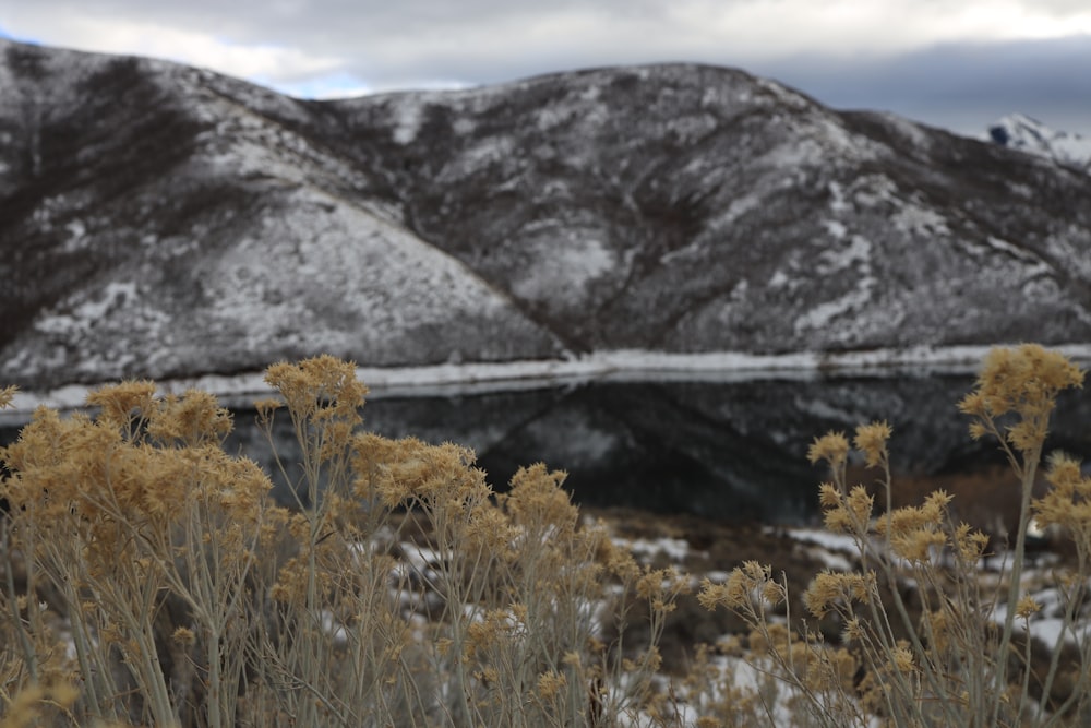 a lake in the mountains