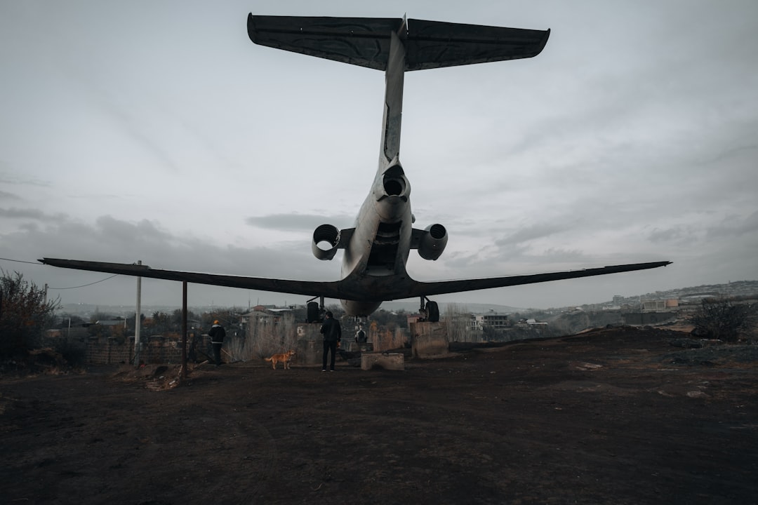 Haywire in the Cargo Hold: Flight's Four-Legged Passenger Causes Up… — Haywire in the Cargo Hold, photo 5