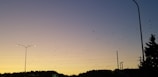 A flock of birds flying over a forested area at dusk.