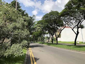 A spacious vacant lot surrounded by mature trees in a quiet Florida neighborhood.