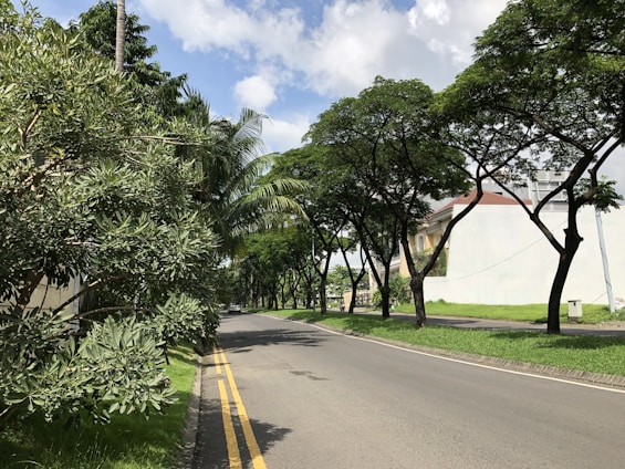 A spacious vacant lot surrounded by mature trees in a quiet Florida neighborhood.