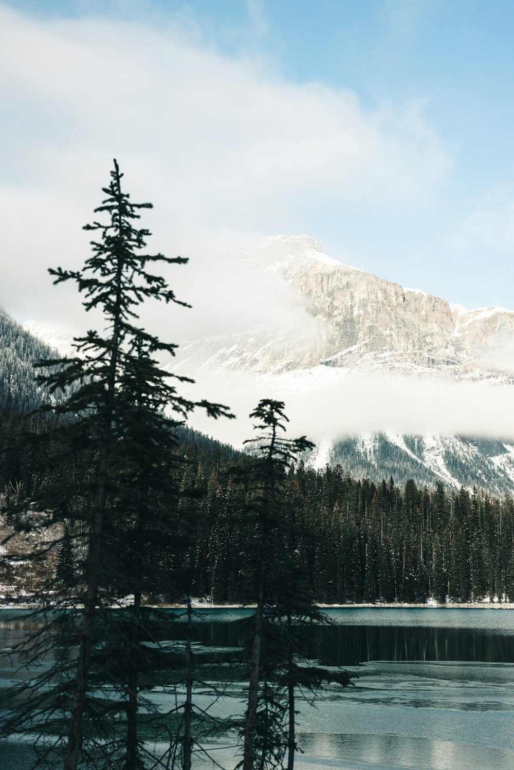 a snowy mountain with trees