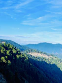 A serene view of dense green forests in Dang district under a clear blue sky.