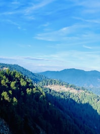 A scenic view of the lush Montagne d’Ambre forest under a bright blue sky.