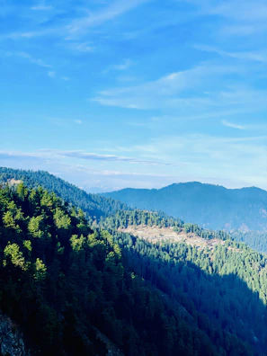 A serene view of dense green forests in Dang district under a clear blue sky.