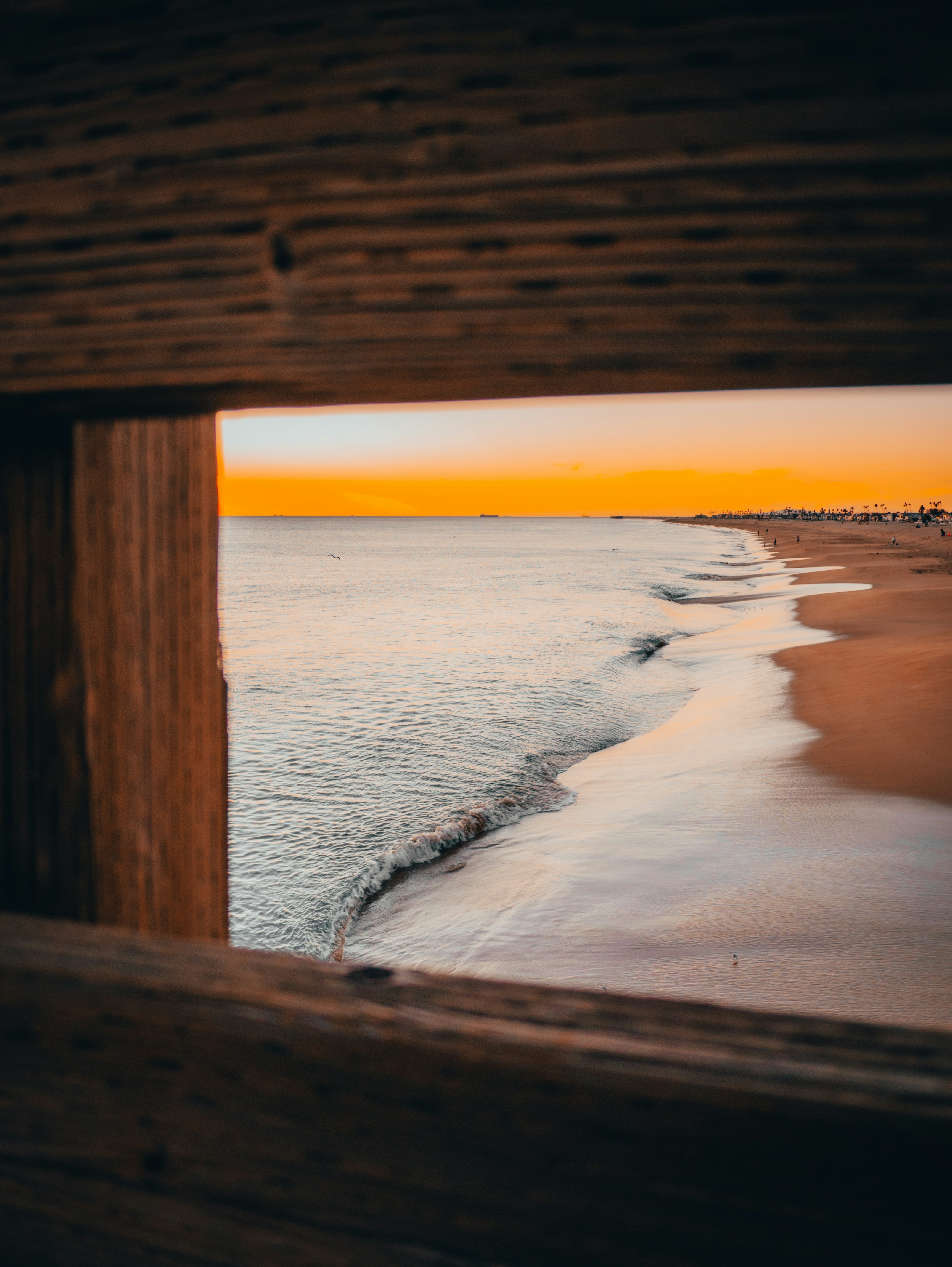 Photo by kingkonggeorge