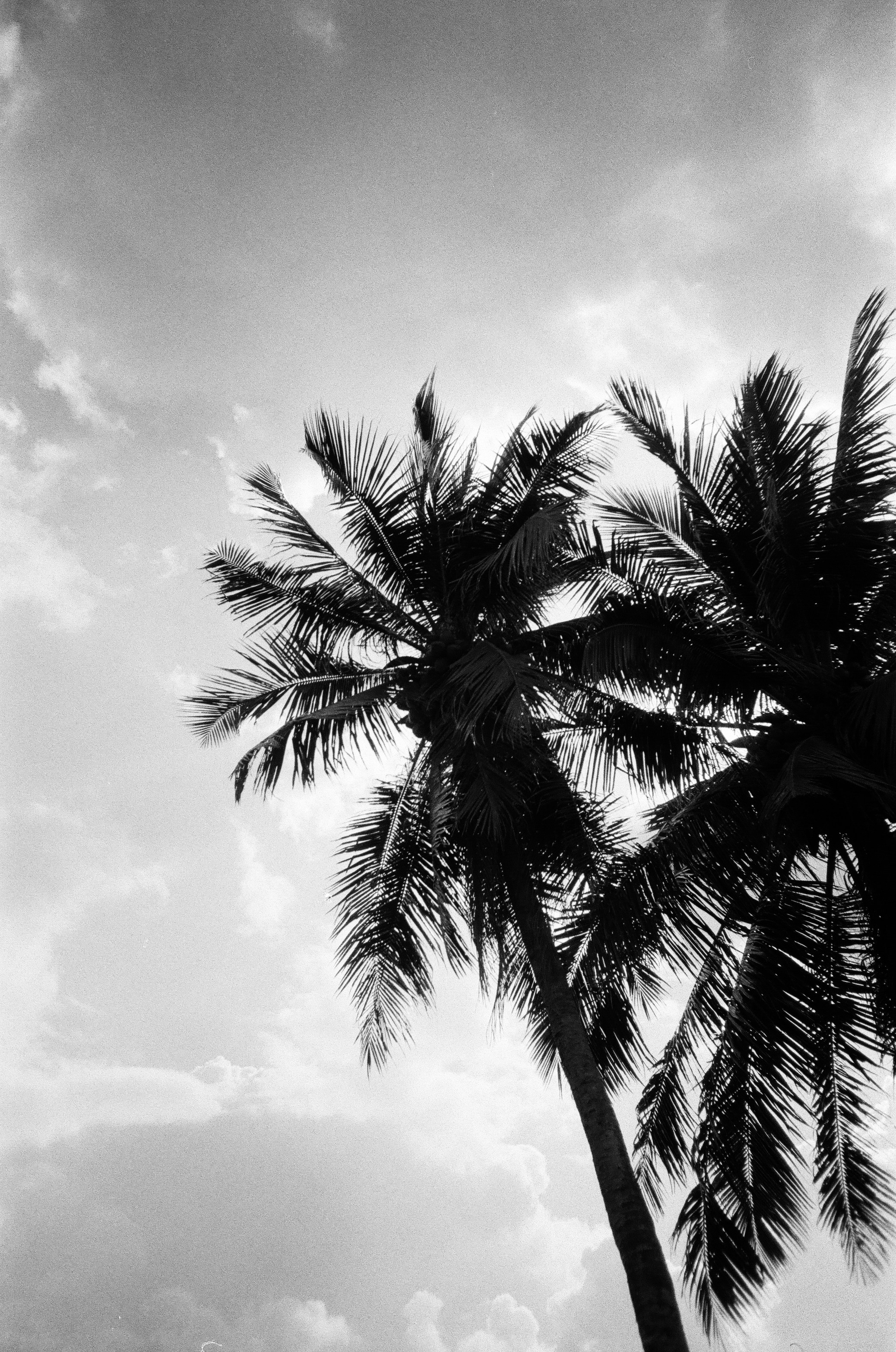 Photo by ryanduong94