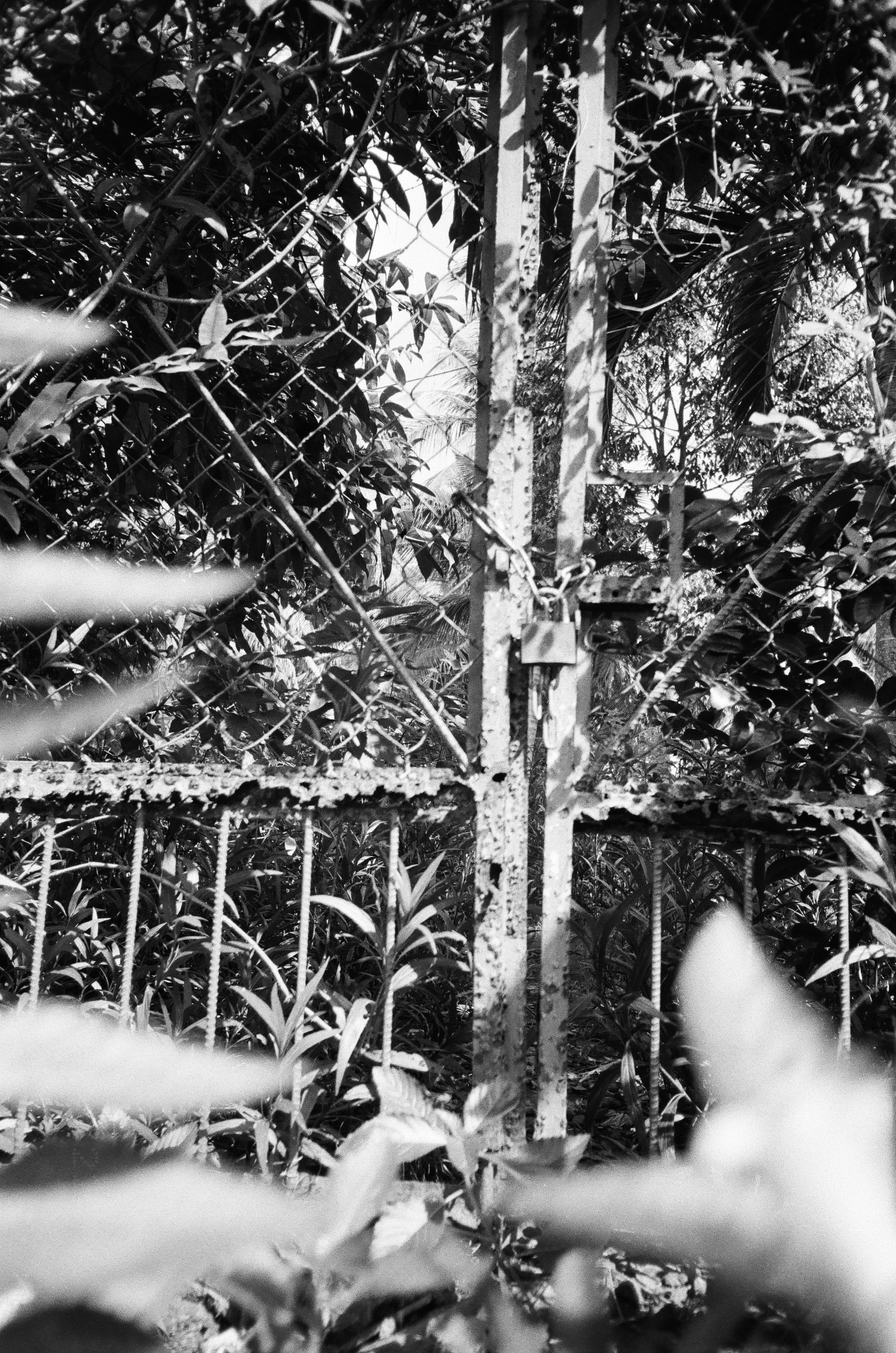 Photo by ryanduong94