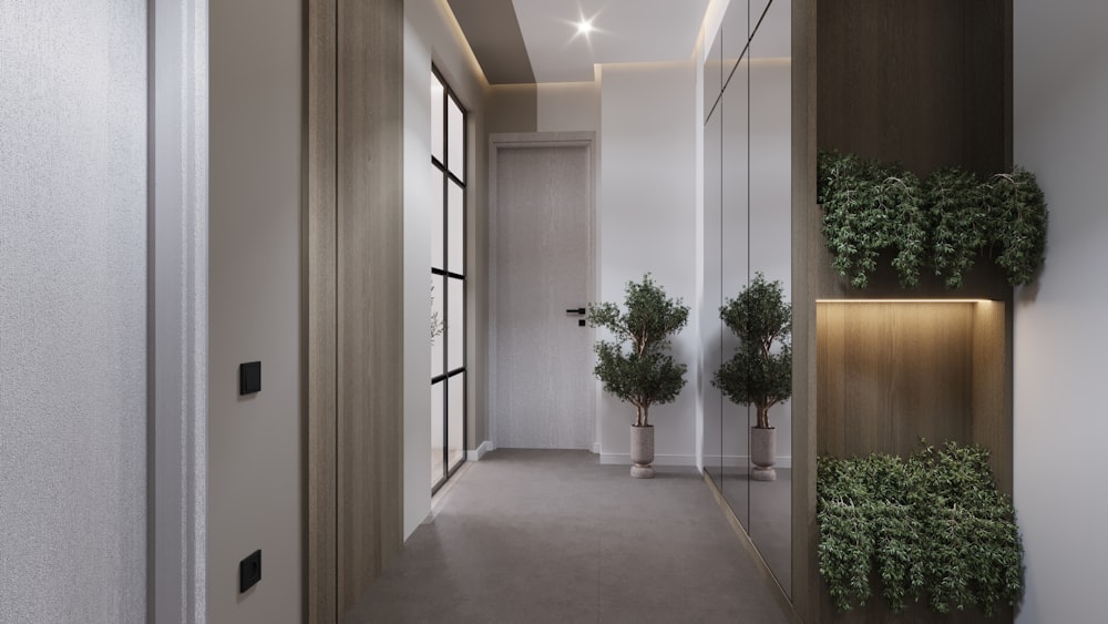 a hallway with plants