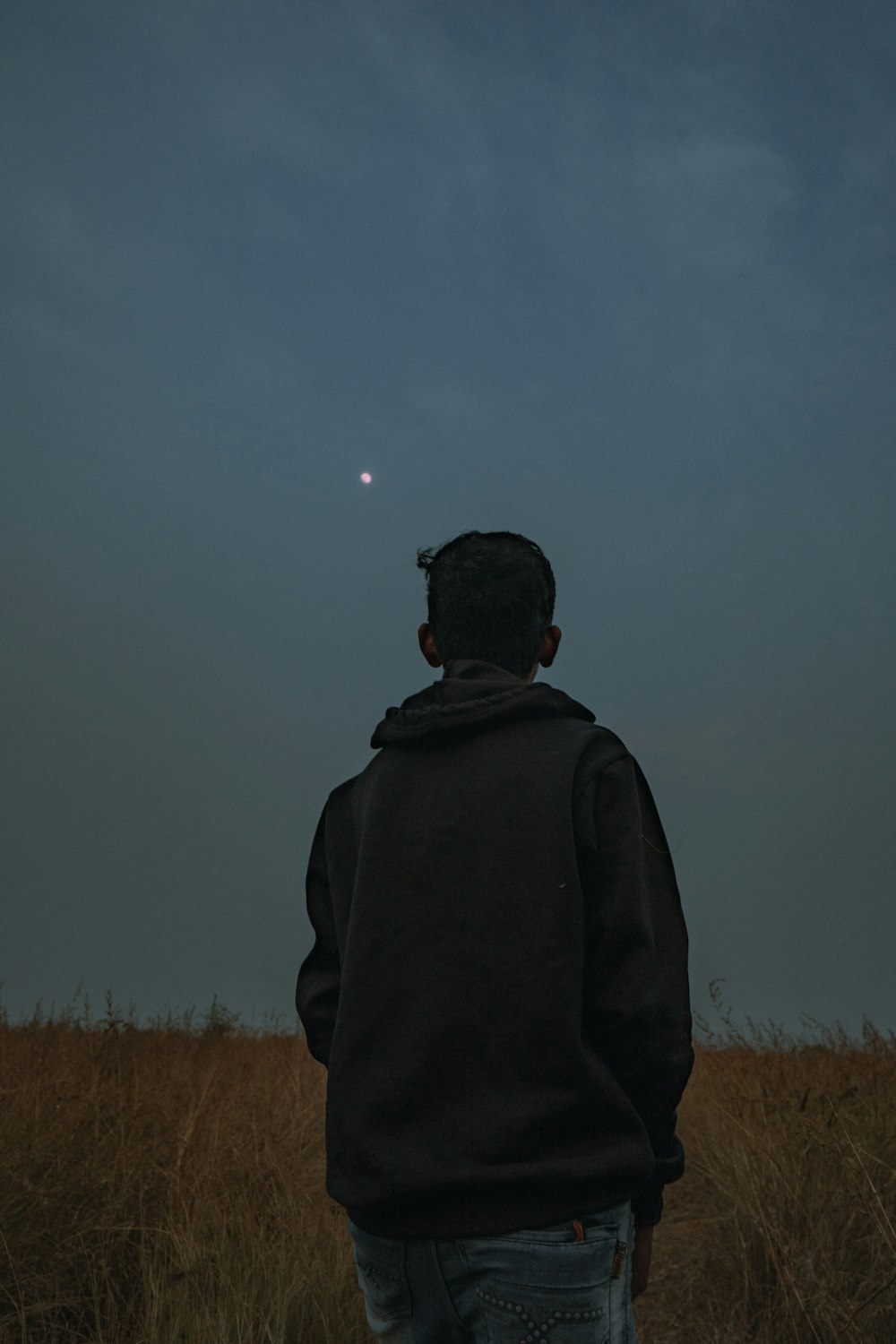 a person standing in a field looking at the moon