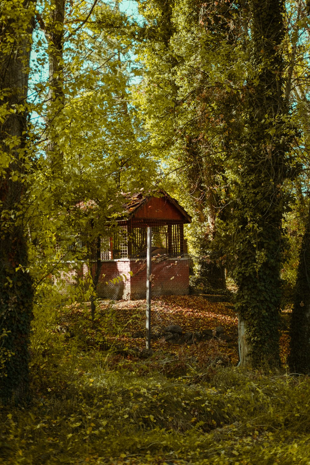 a small house in the woods