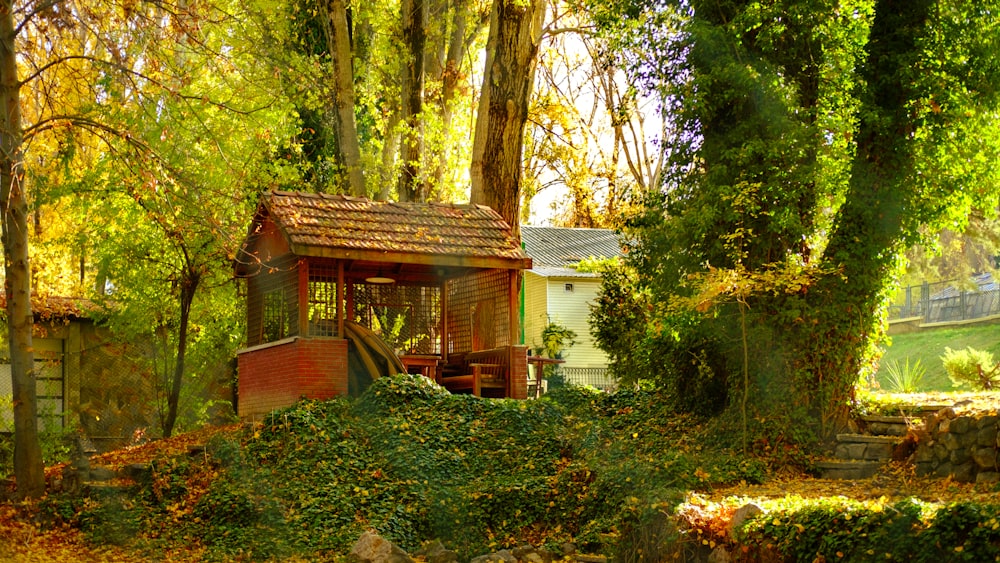 a house in the woods