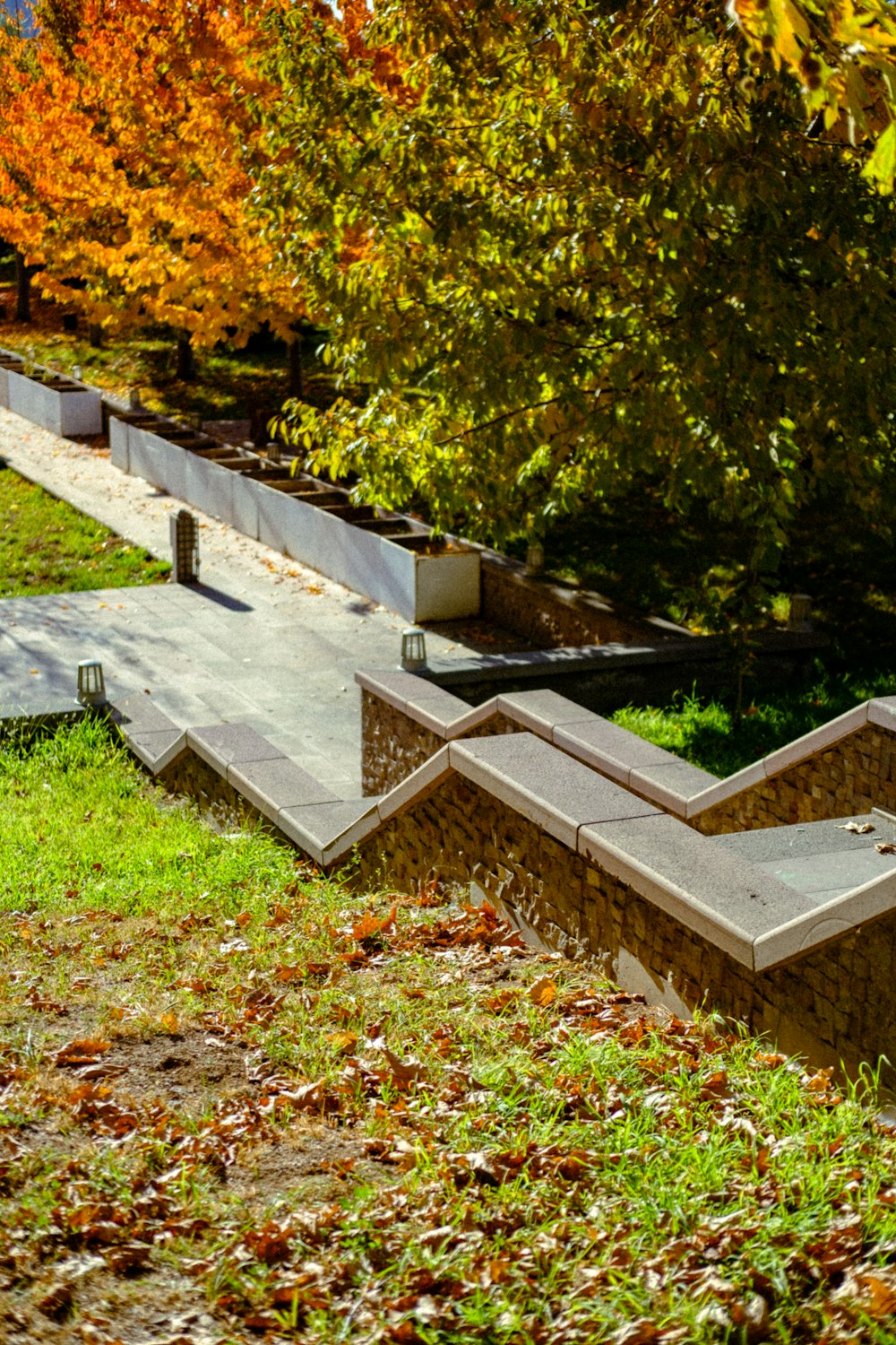 a concrete walkway with trees on either side of it