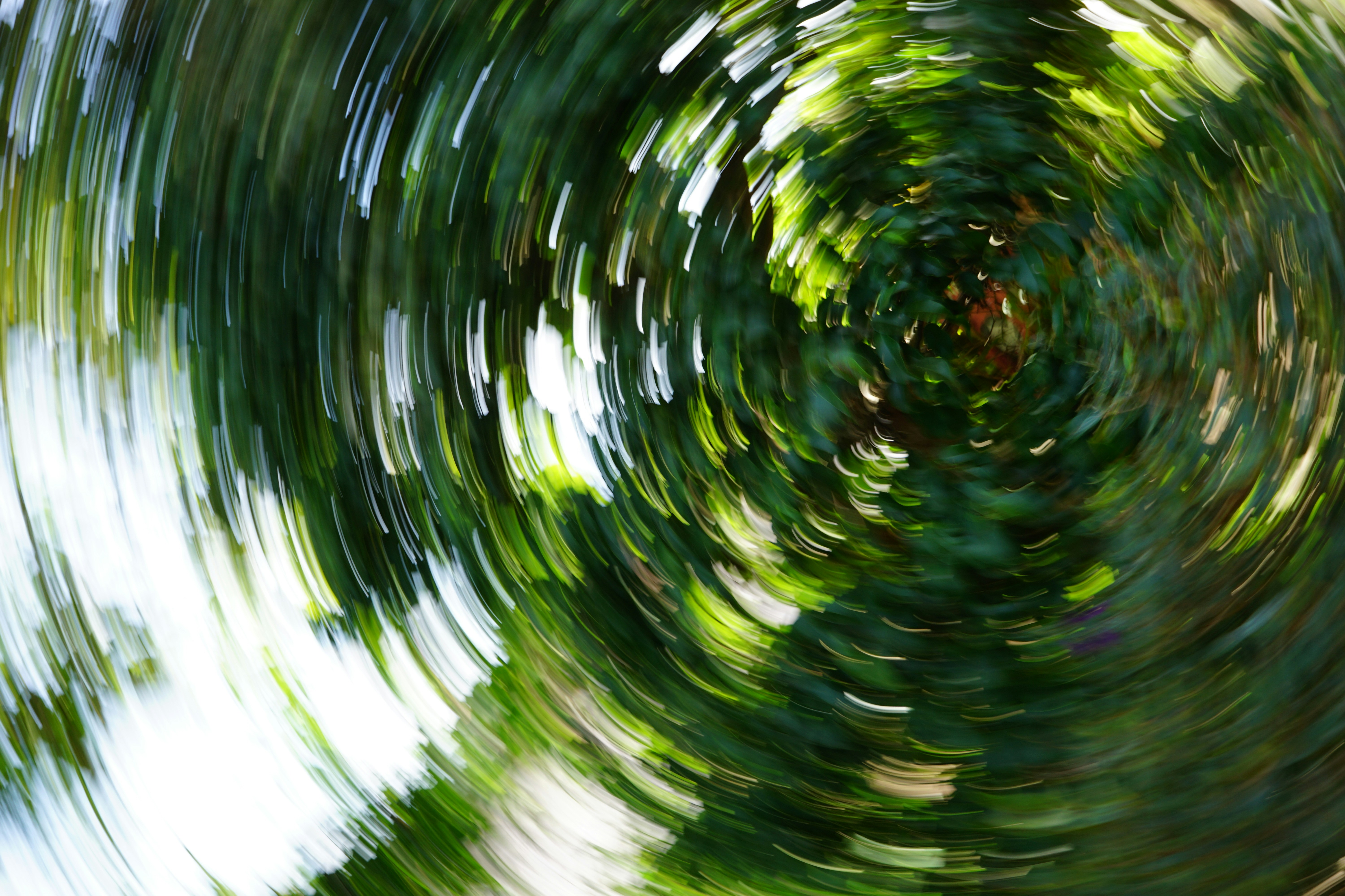 Photo by nguyen_phong