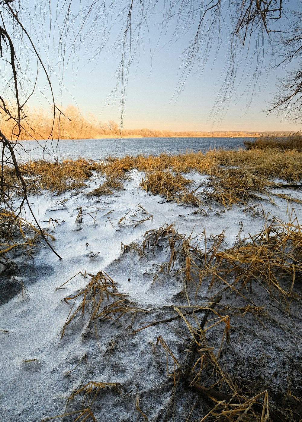 a snowy field with trees and water in the background