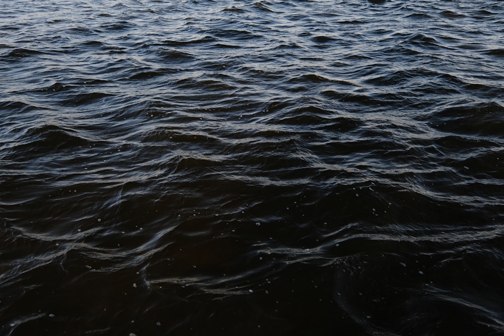 a body of water with waves