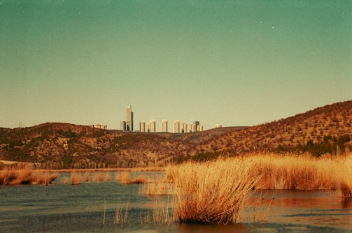 A serene landscape featuring a blend of old and new photographs.