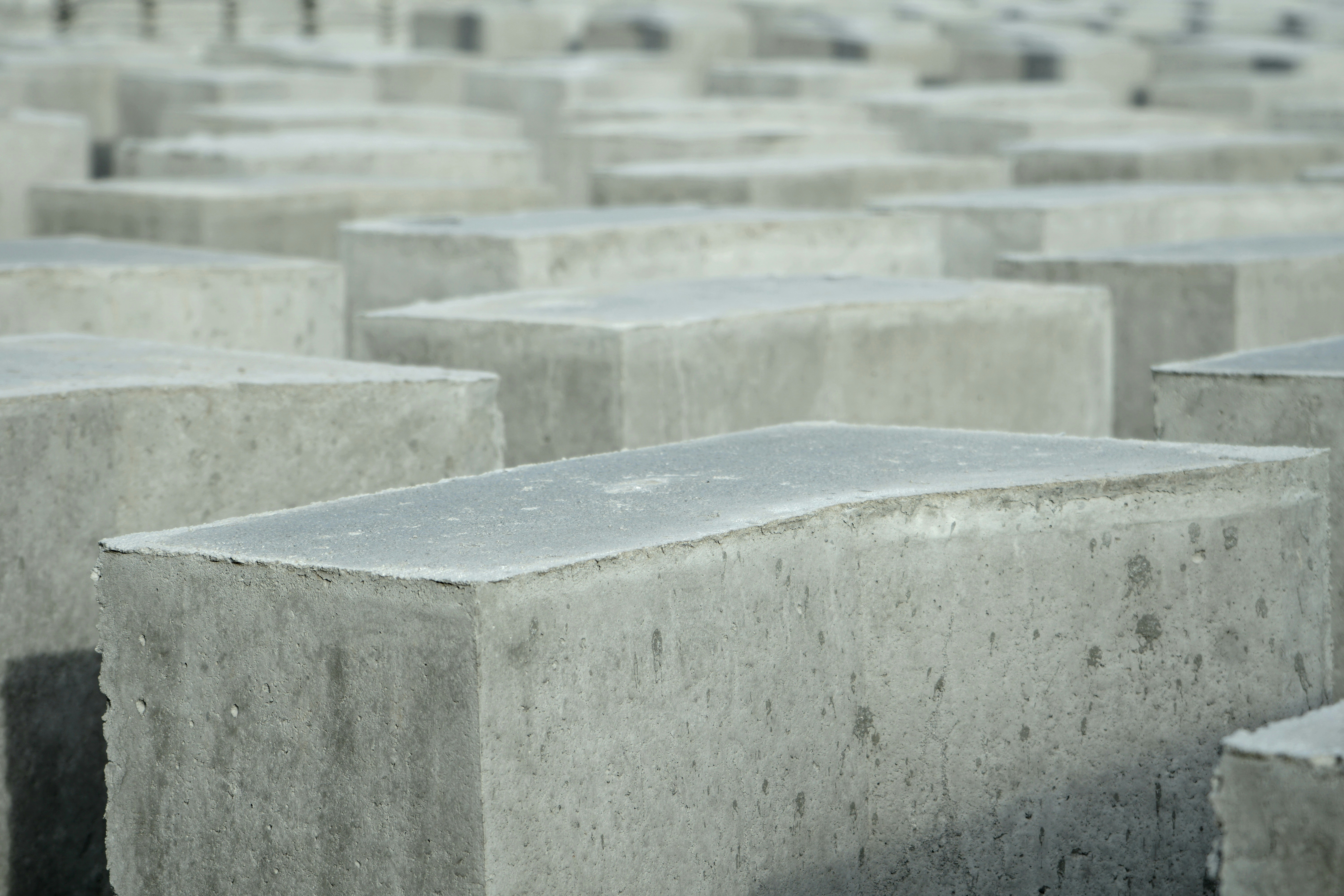 Photo by nguyen_phong