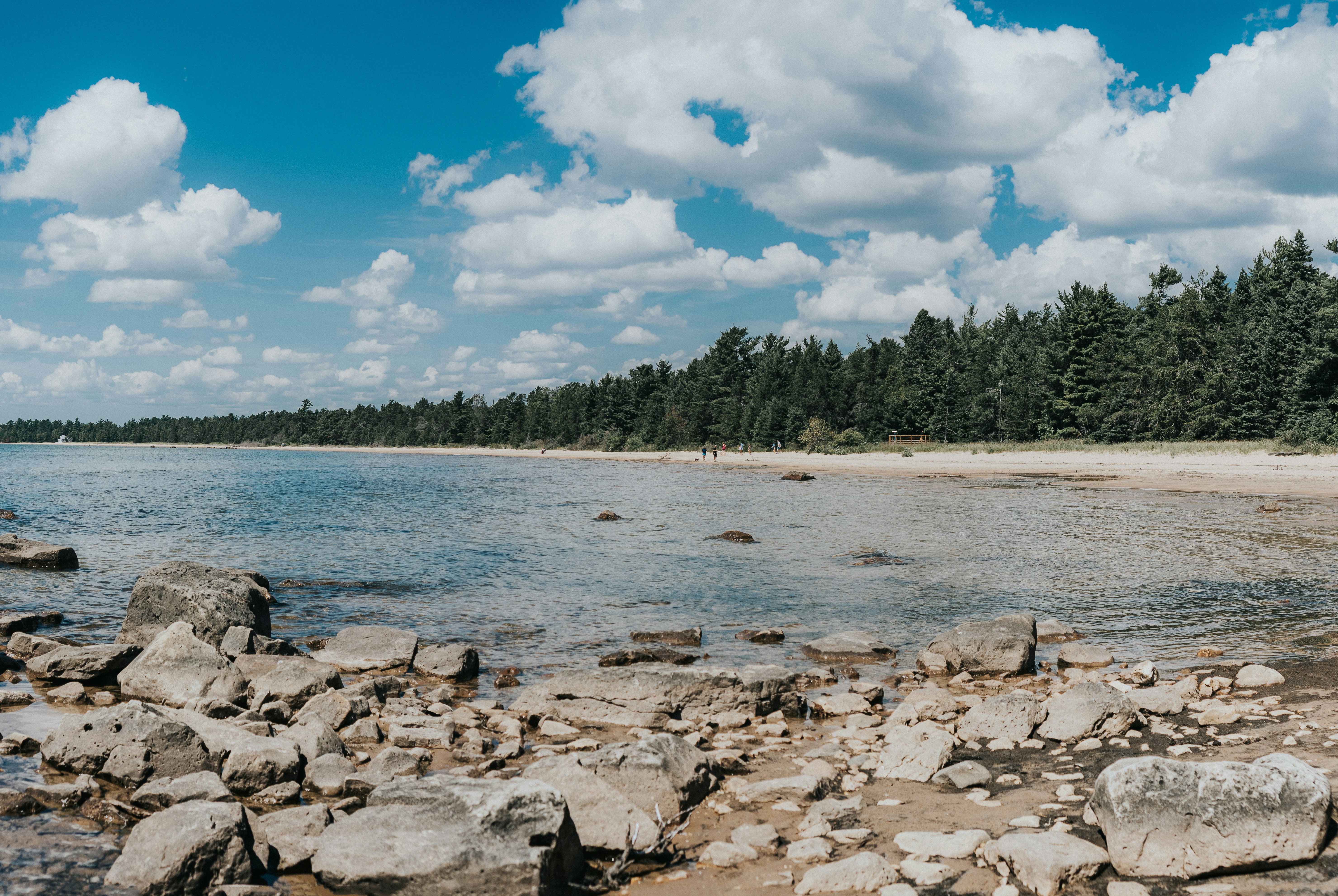 Jaguar North's image