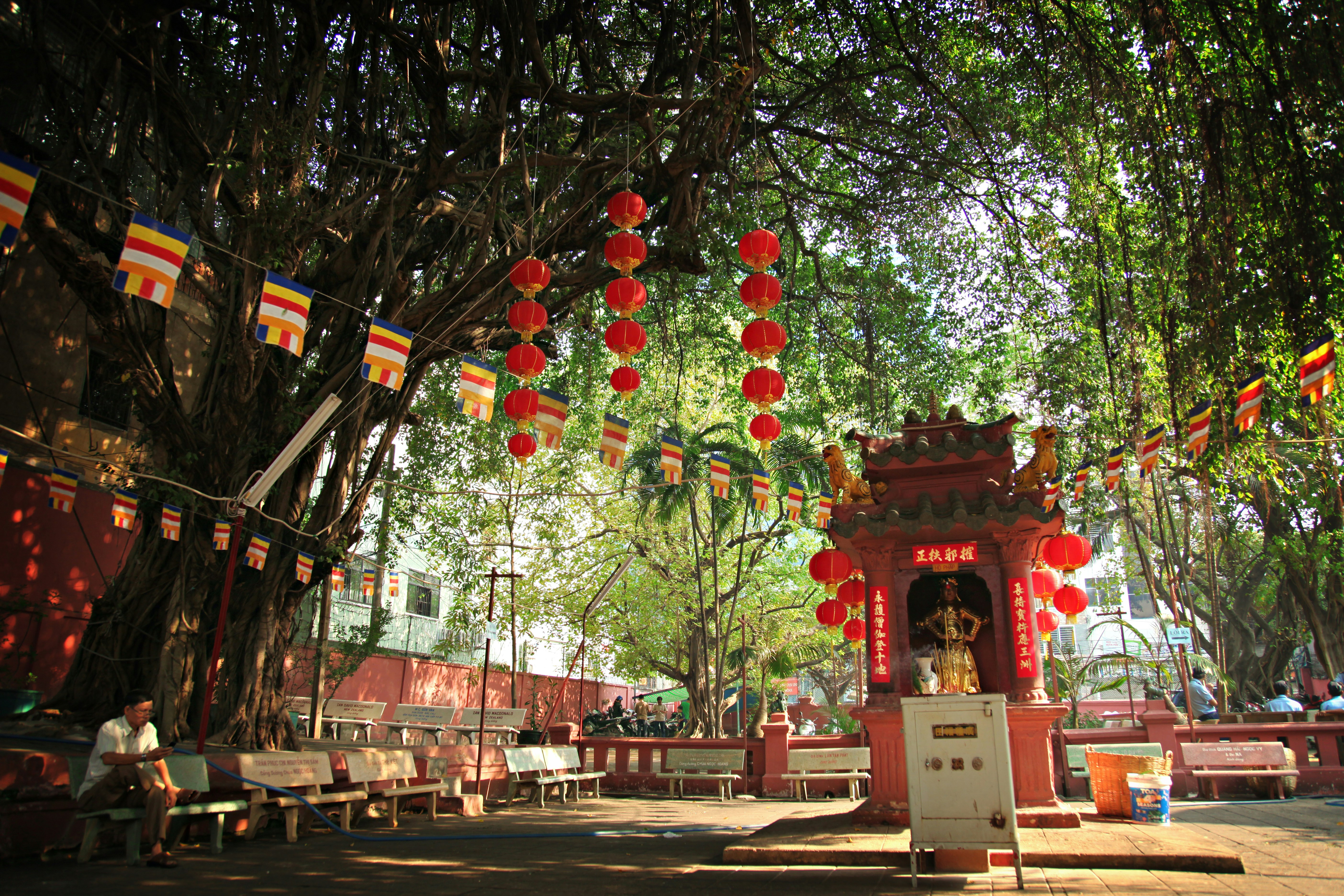 Photo by curtisnguyen