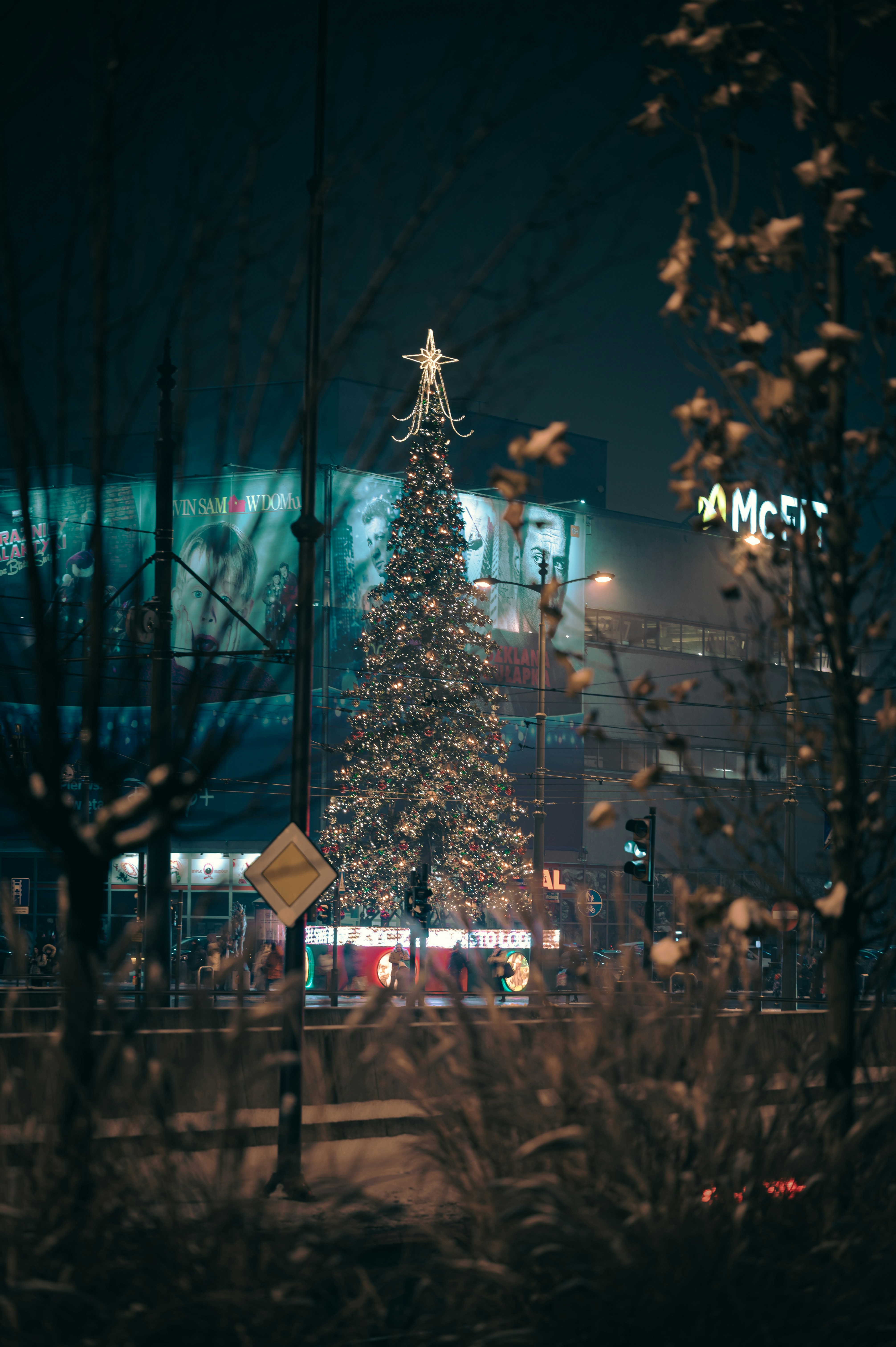 A christmas tree with lights photo – Free Christmas Image on Unsplash, image size:3000x4509