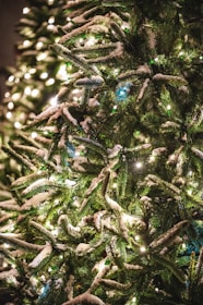 Snow gently falling over a brightly lit Christmas tree outdoors.