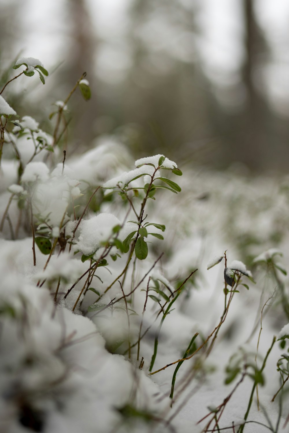 a close up of some snow