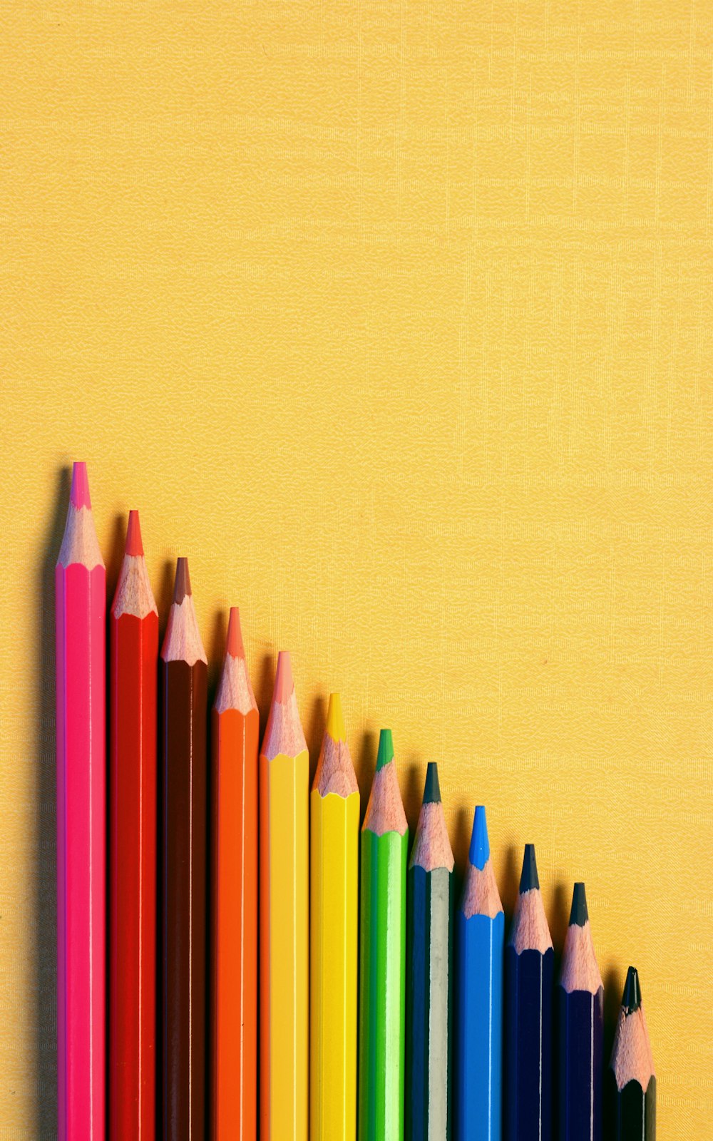 a group of colored pencils