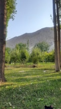 A serene farm landscape with fresh fruits and vegetables.