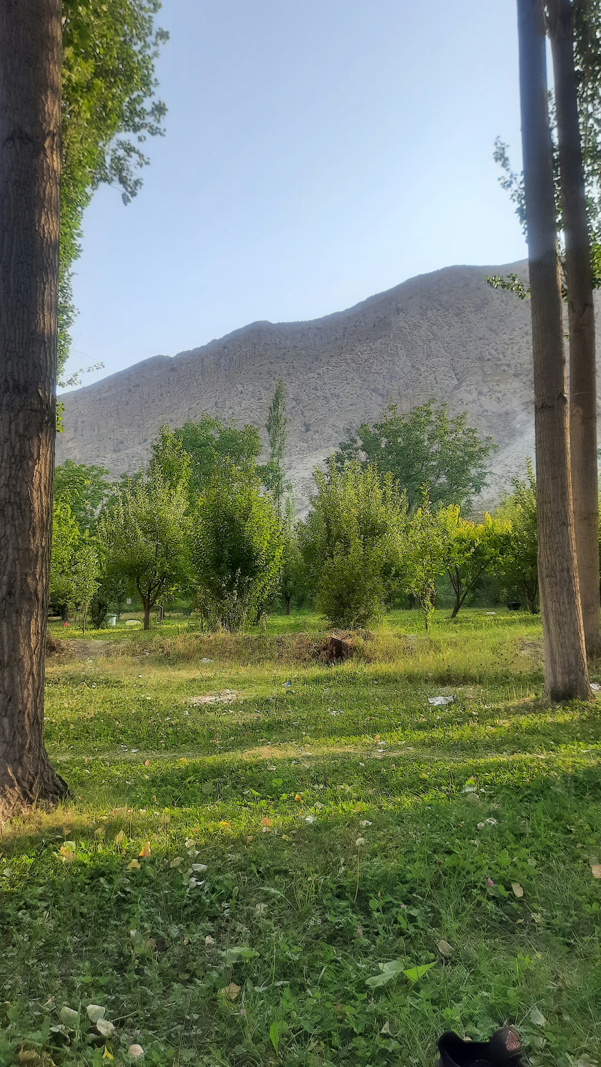 gray computer monitor