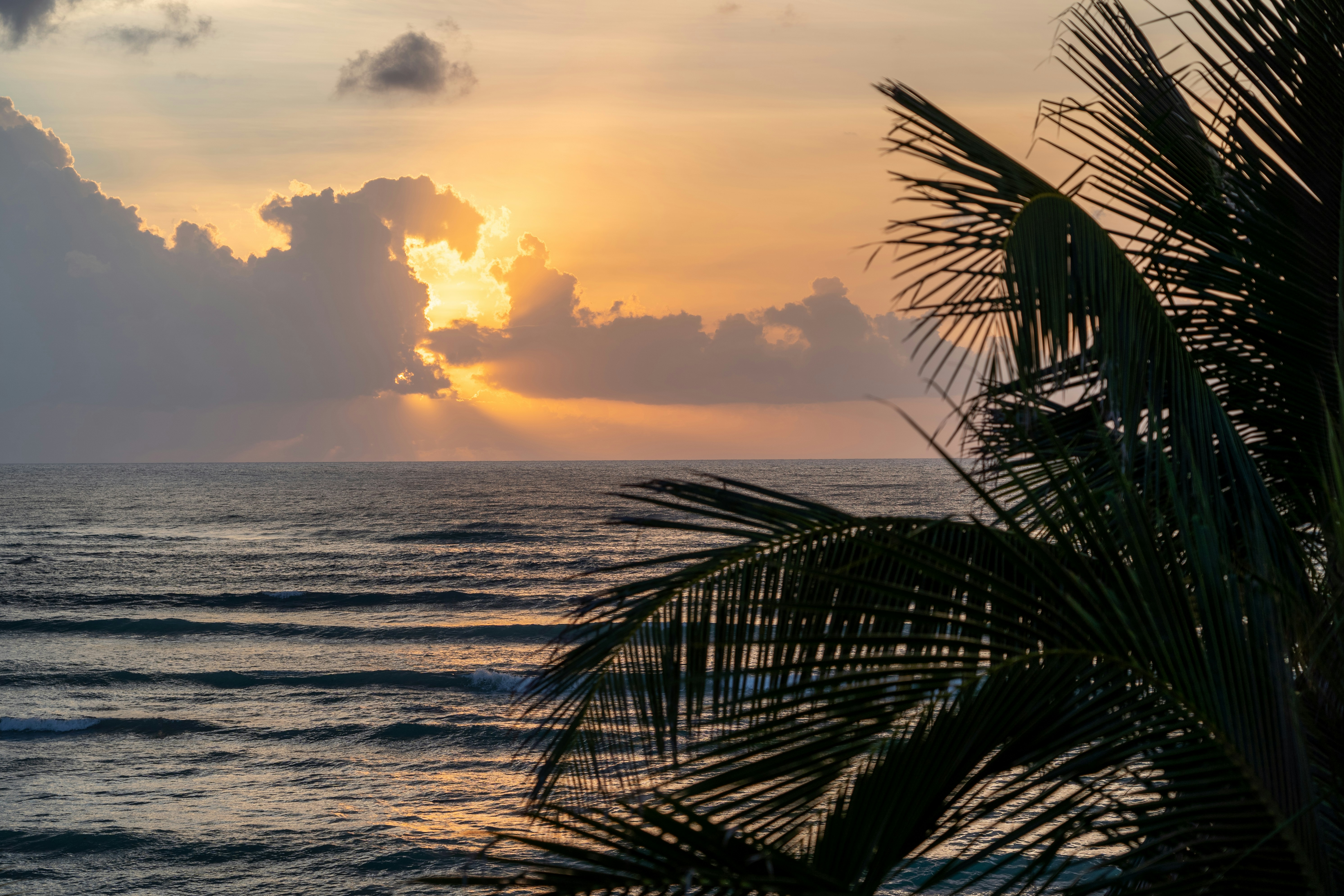 Photo by pawelwieladek