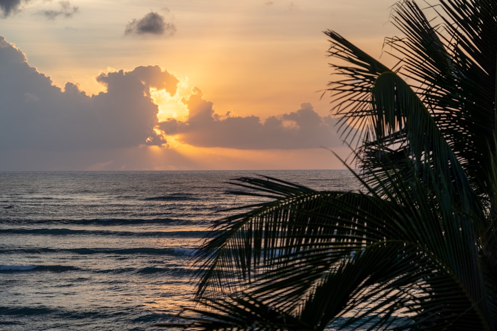 a tropical beach with a sunset