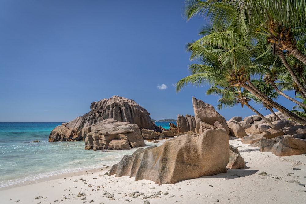 a group of rocks on a beach