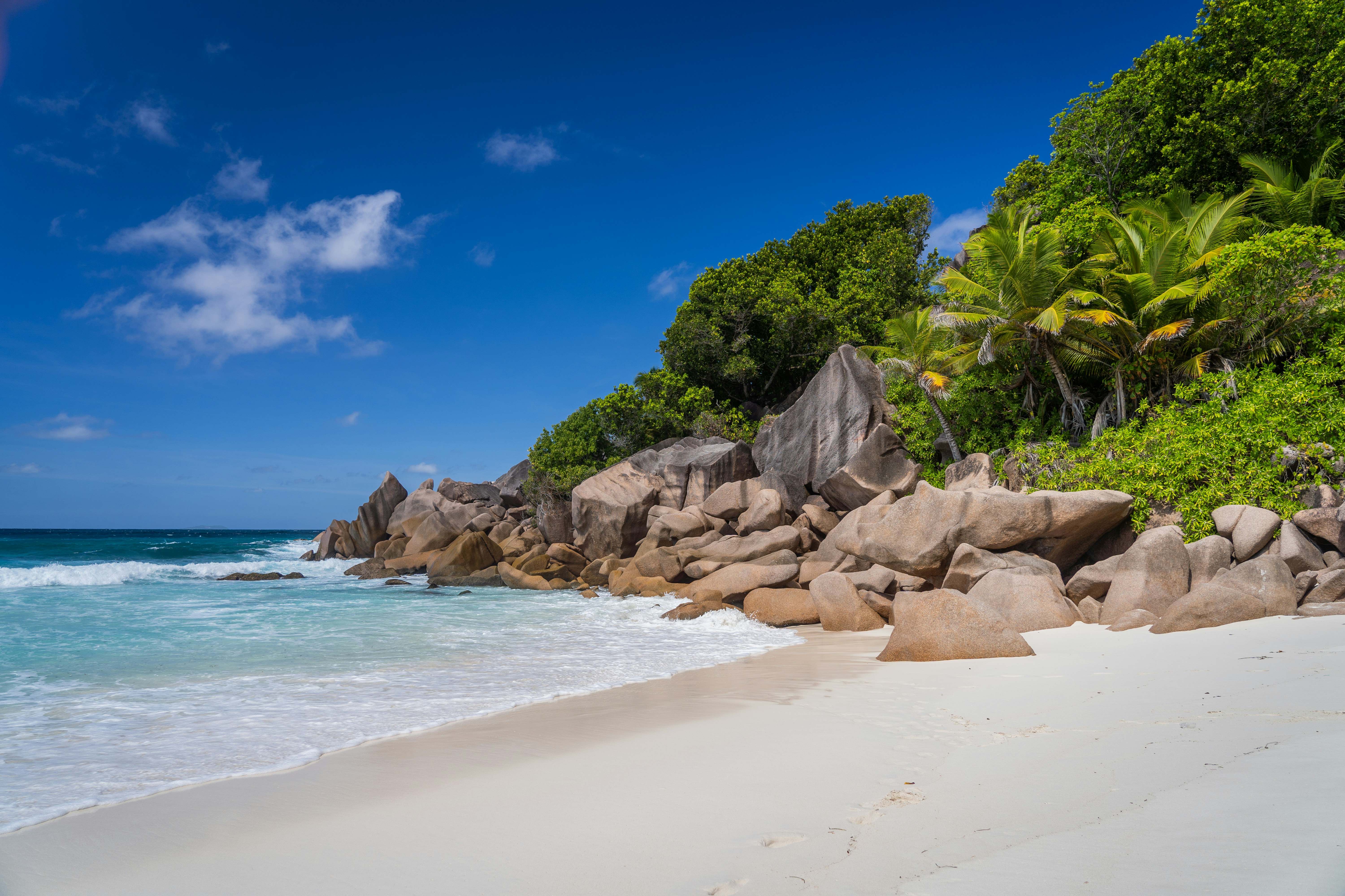 Una playa con rocas y árboles