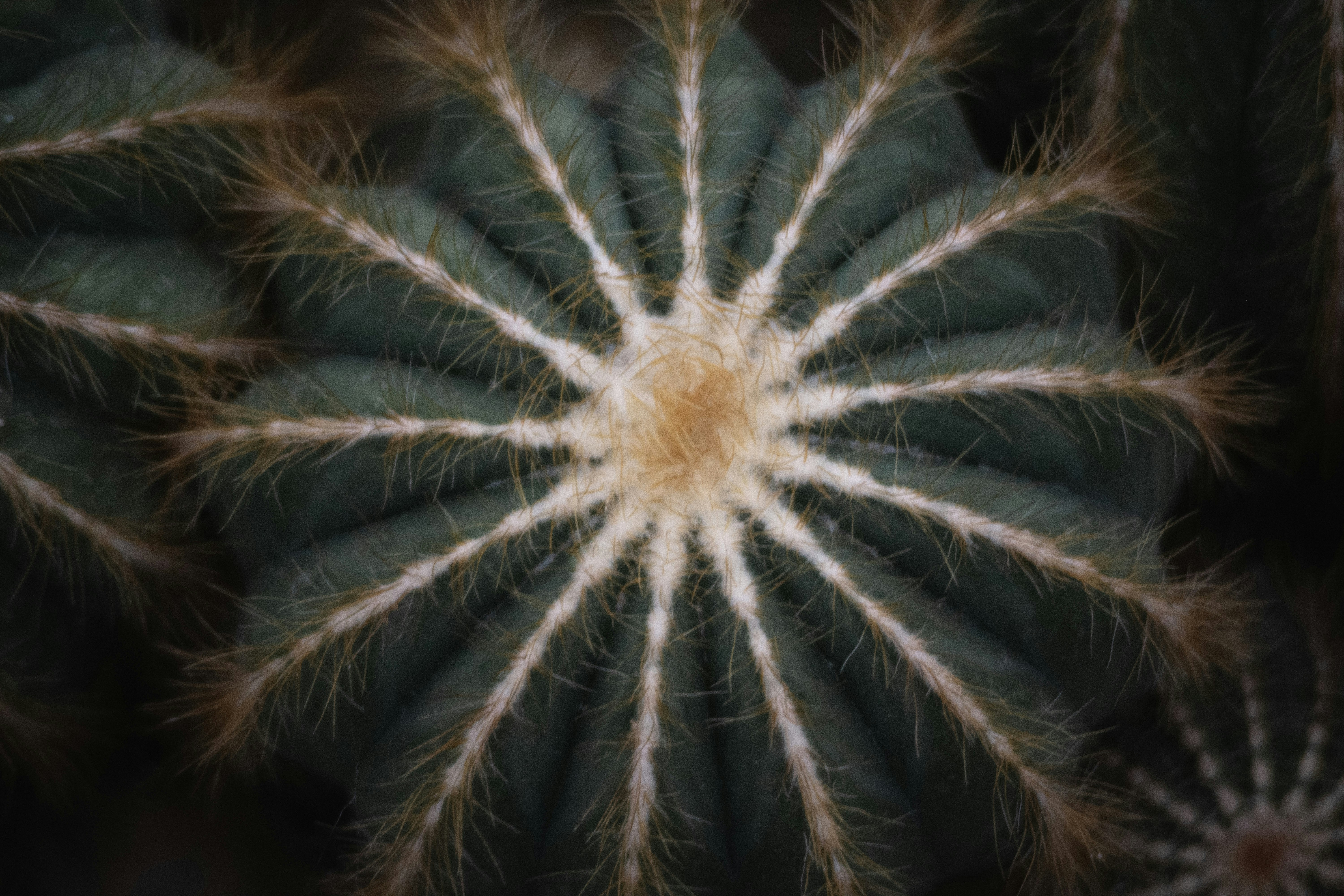 Photo by essai_photo