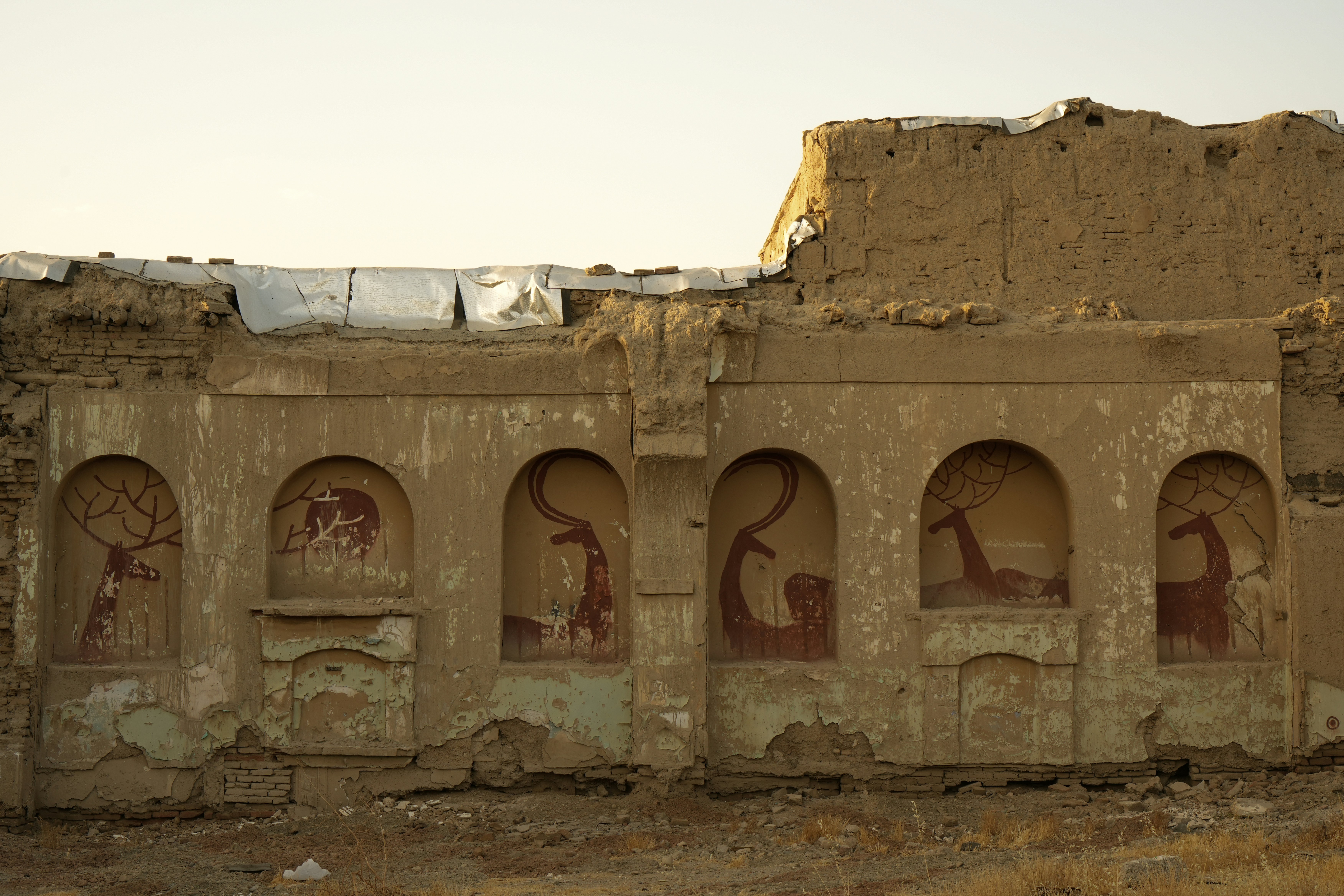 Photo by hoseinsolimani2737