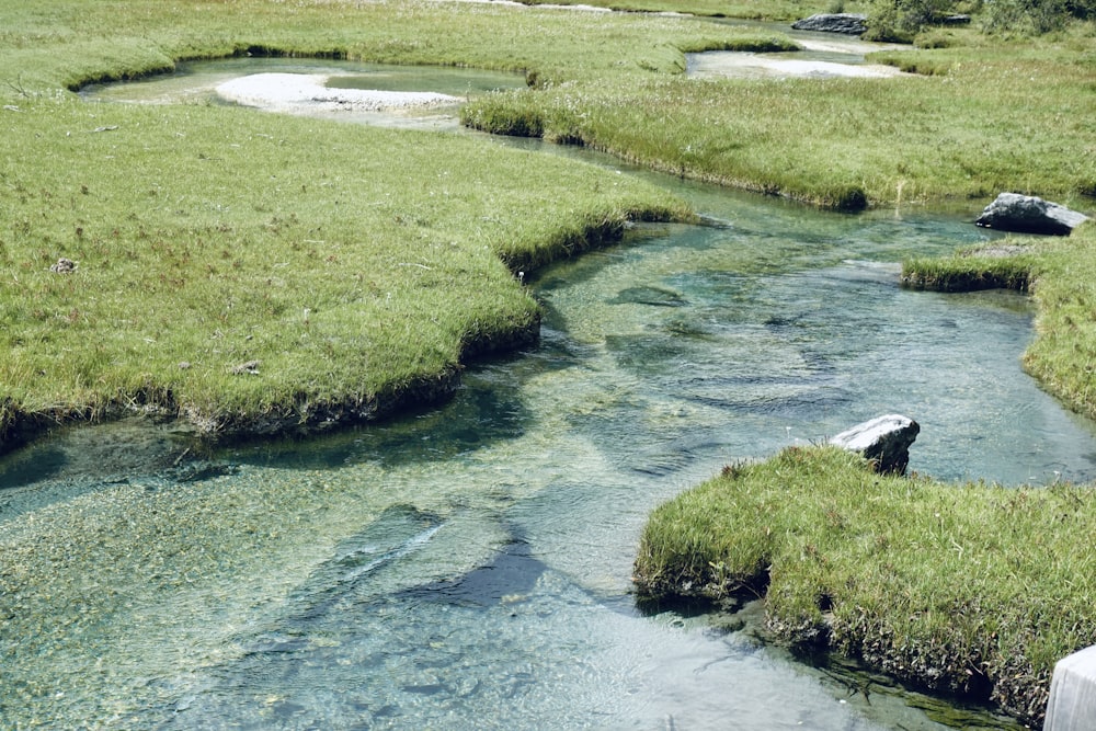 a river with grass and rocks