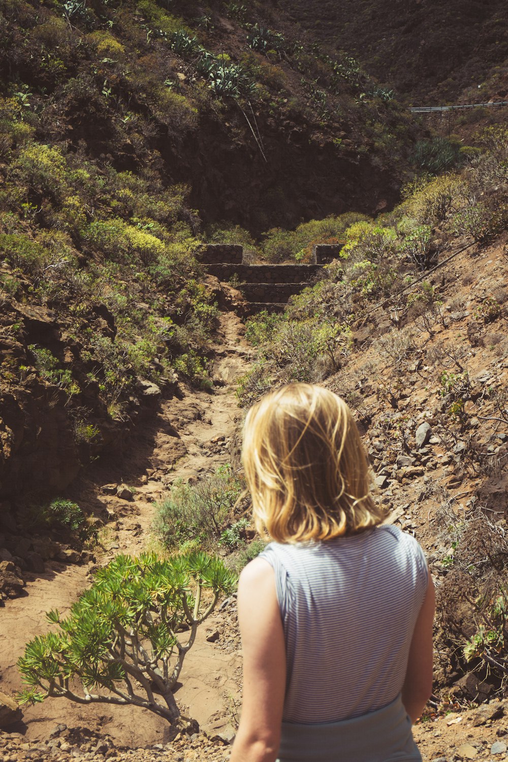 una persona che guarda un ponte