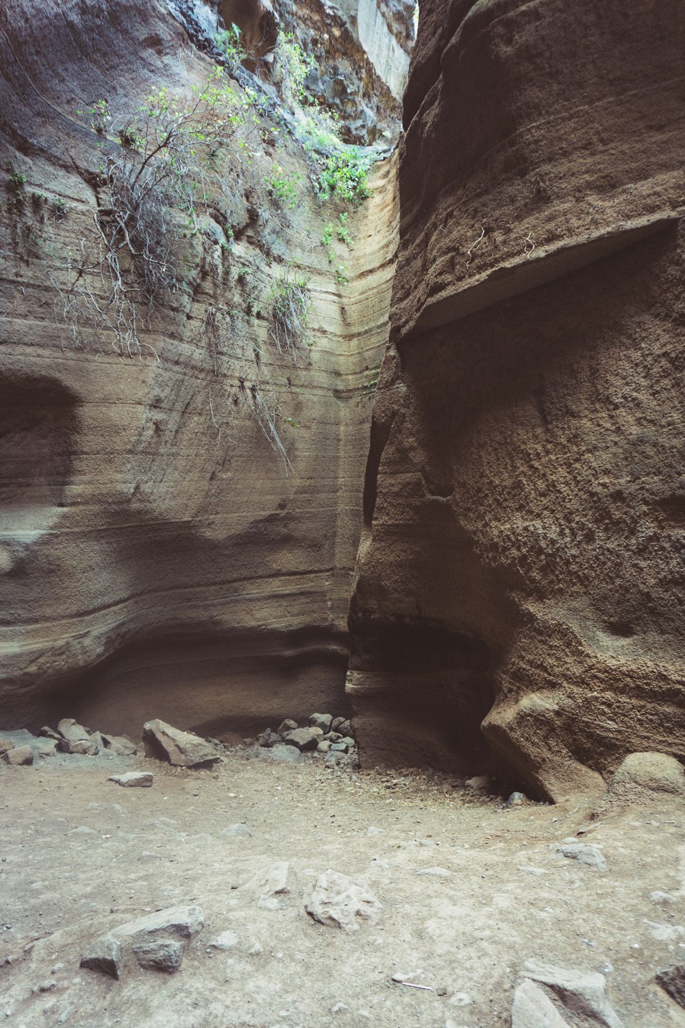 Una cueva con una gran pared de roca