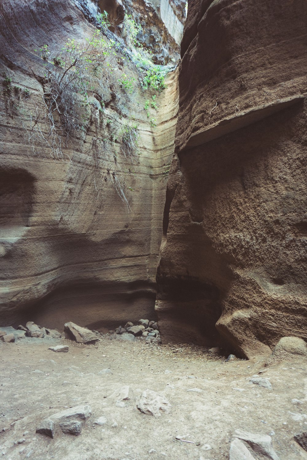uma caverna com uma grande parede de rocha