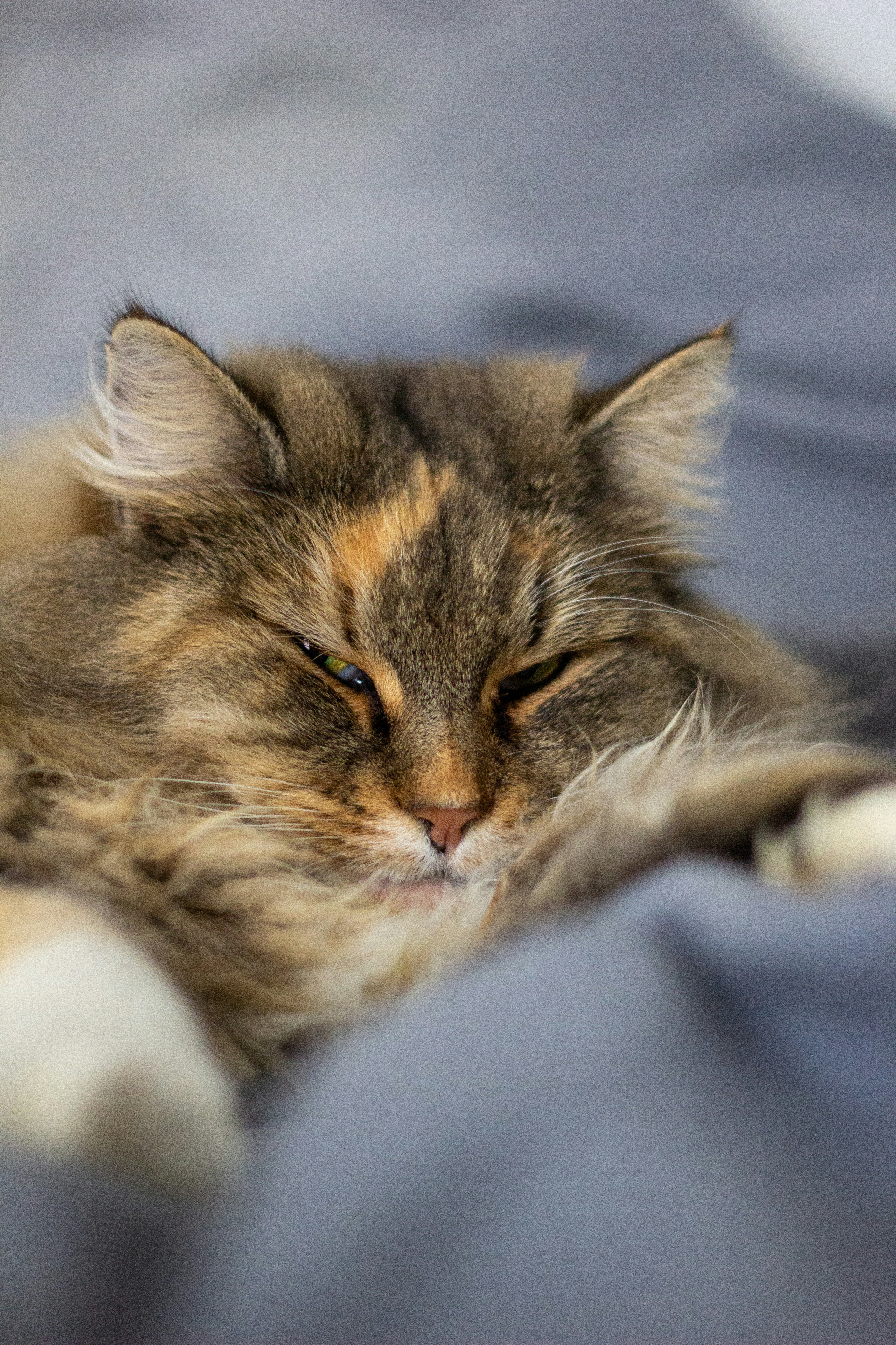 Photo by leoricciopro