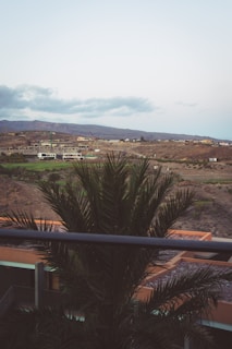 Close-up of the Palmilla region showing a project site with surrounding landscape.
