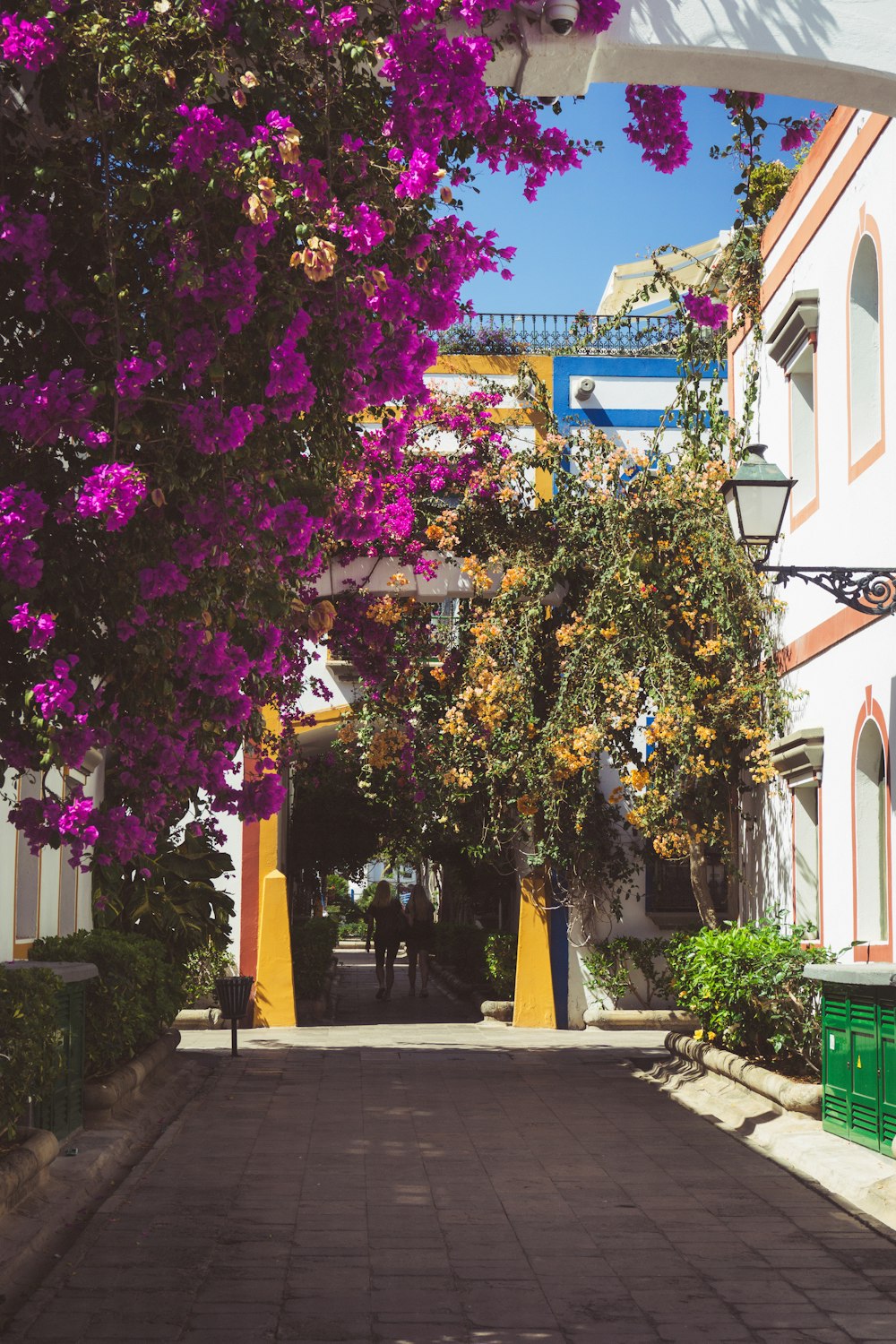 Un árbol con flores púrpuras