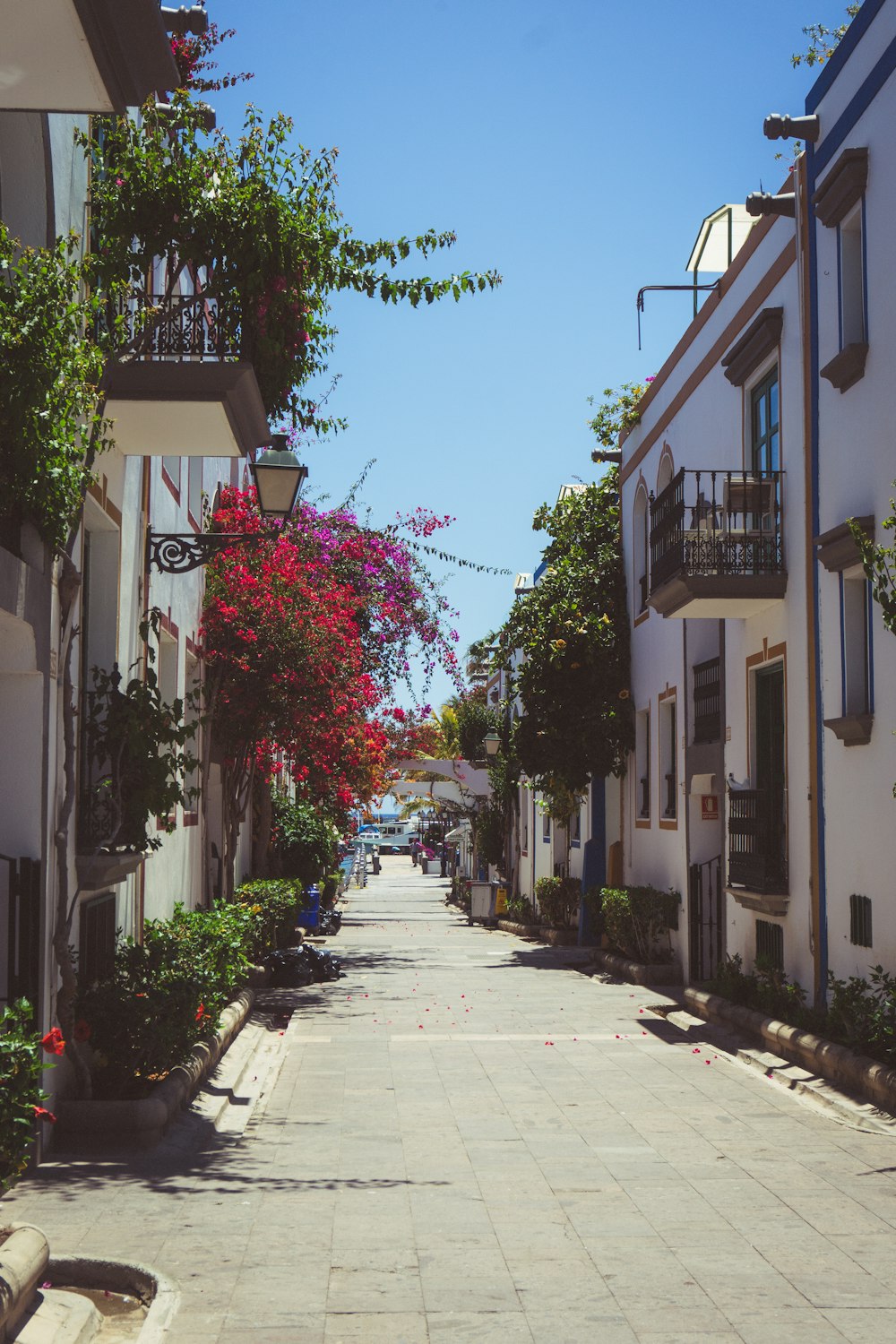 a street with buildings and trees on the side