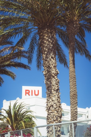 A beautiful beachfront view of Hotel Riu Cancun.