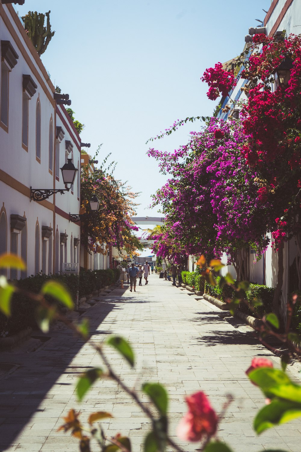 a street with flowers on it