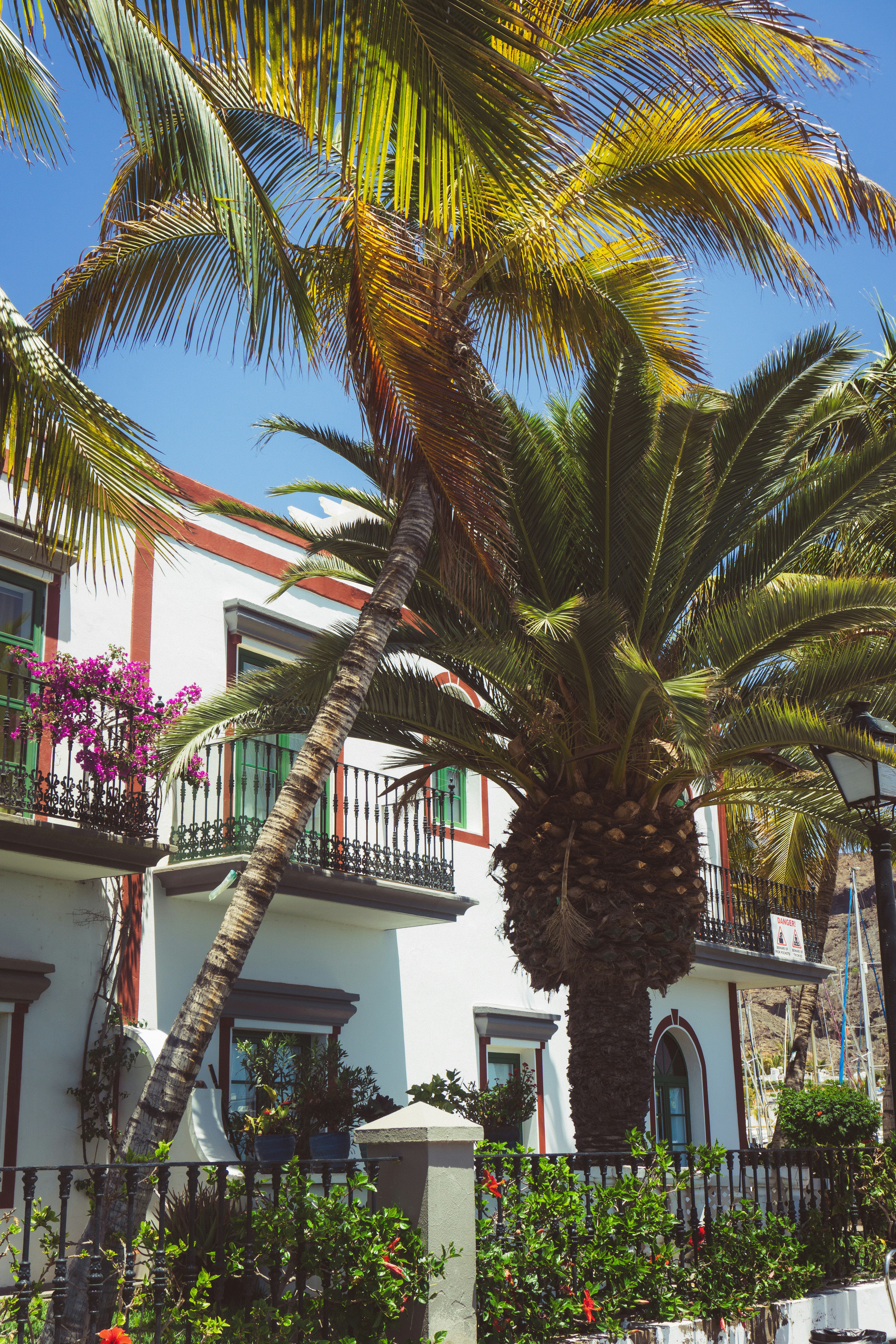 Eliminar datos duplicados de CRM en Las Palmas de Gran Canaria