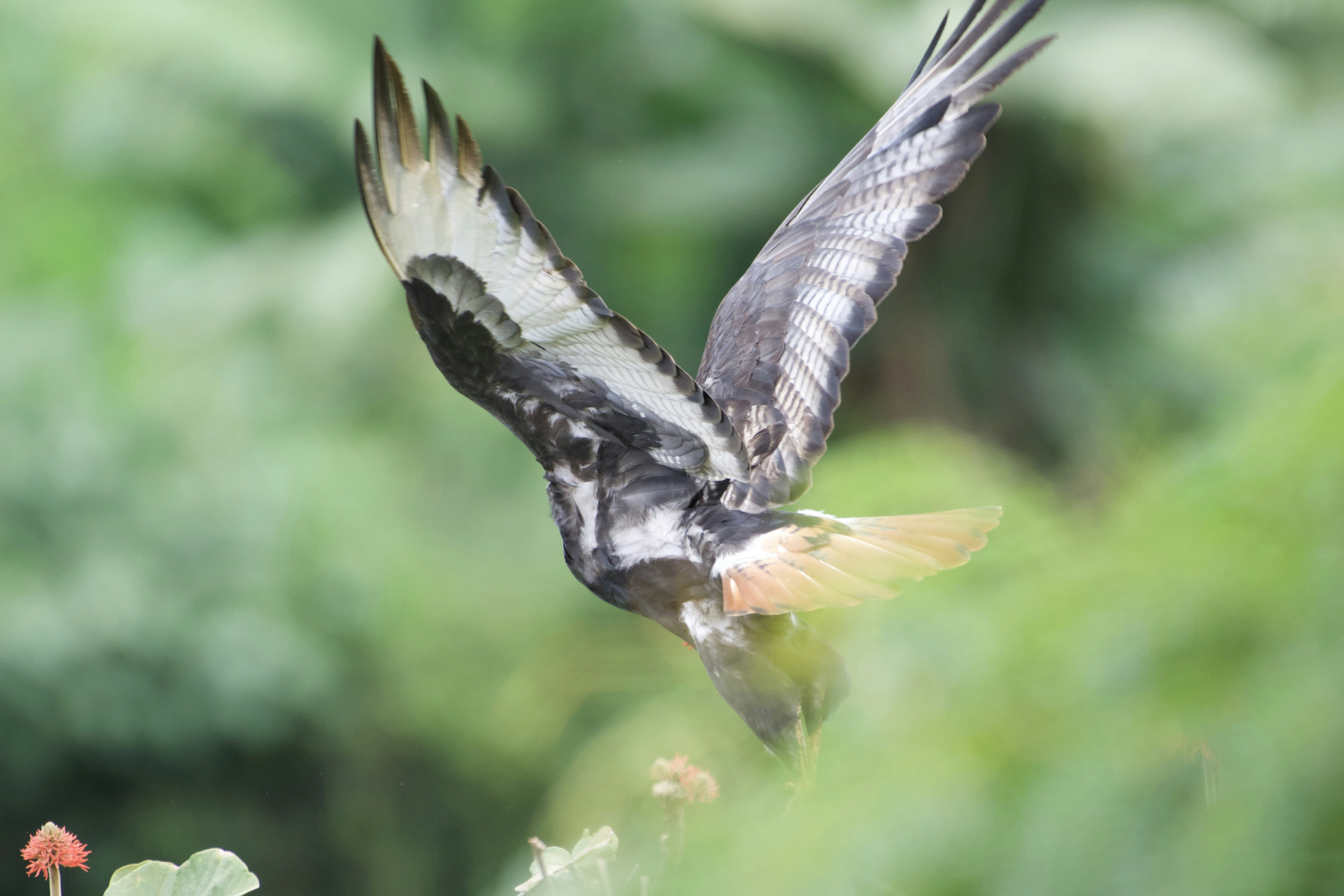 Photo by julius_ngigi